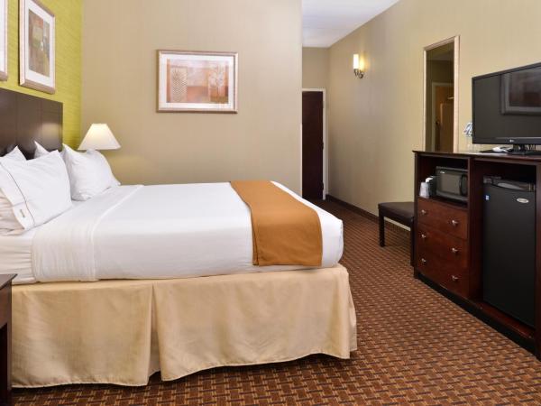 Holiday Inn Express Hotel & Suites Indianapolis W - Airport Area, an IHG Hotel : photo 1 de la chambre chambre lit king-size