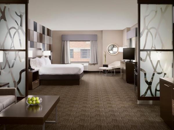 Holiday Inn Express & Suites Oklahoma City Downtown - Bricktown, an IHG Hotel : photo 4 de la chambre chambre lit king-size exécutive avec canapé-lit