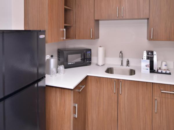 Holiday Inn Express Hotel & Suites Indianapolis Dtn-Conv Ctr, an IHG Hotel : photo 4 de la chambre suite lit king-size