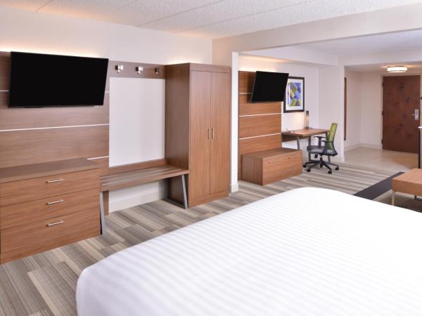 Holiday Inn Express Hotel & Suites Indianapolis Dtn-Conv Ctr, an IHG Hotel : photo 5 de la chambre suite lit king-size avec canapé-lit