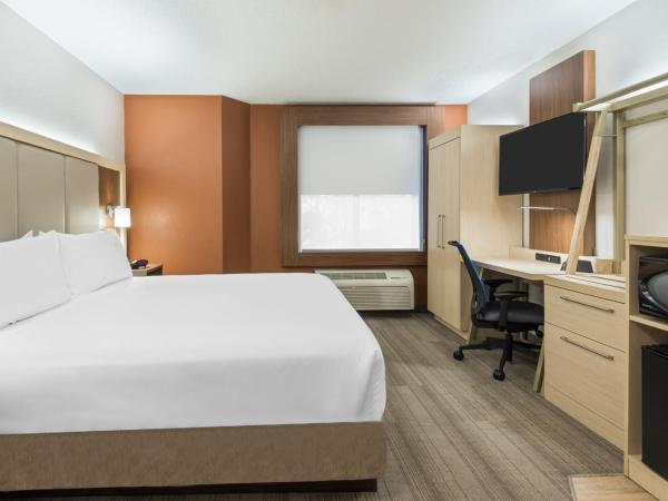 Holiday Inn Express & Suites - Nearest Universal Orlando, an IHG Hotel : photo 4 de la chambre chambre standard