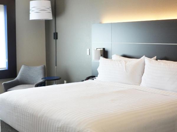 Holiday Inn Express & Suites - Jacksonville W - I295 and I10, an IHG Hotel : photo 3 de la chambre chambre lit king-size standard