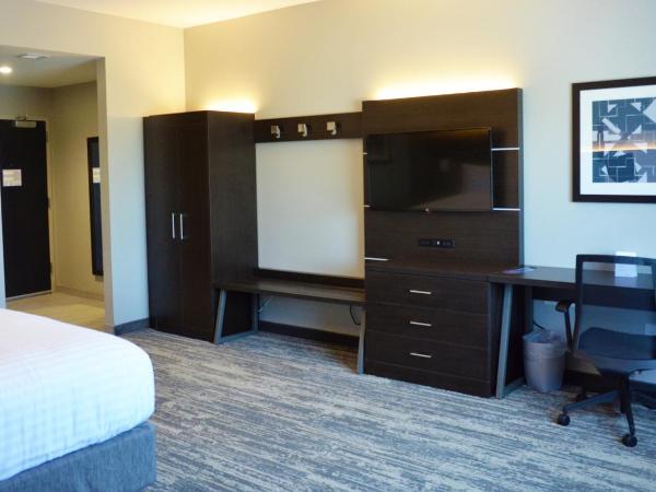 Holiday Inn Express & Suites - Jacksonville W - I295 and I10, an IHG Hotel : photo 10 de la chambre chambre lit king-size standard