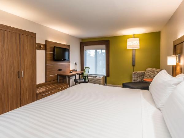 Holiday Inn Express Hotel & Suites Jacksonville-South, an IHG Hotel : photo 2 de la chambre hébergement lit king-size standard