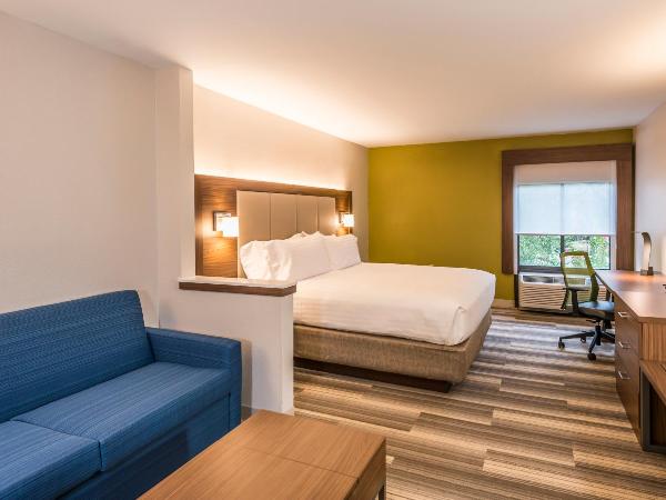 Holiday Inn Express Hotel & Suites Jacksonville-South, an IHG Hotel : photo 4 de la chambre suite lit king-size