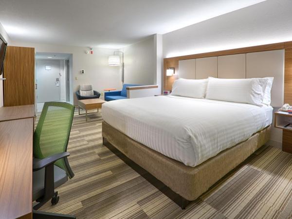 Holiday Inn Express Hotel & Suites Jacksonville-South, an IHG Hotel : photo 2 de la chambre suite lit king-size
