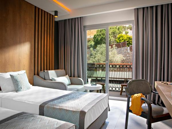 TUI MAGIC LIFE Bodrum - Adults Only : photo 1 de la chambre chambre double standard avec balcon 