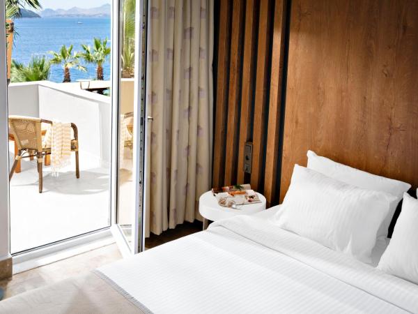 TUI MAGIC LIFE Bodrum - Adults Only : photo 4 de la chambre chambre double supérieure