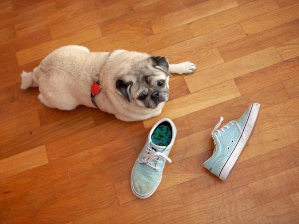 Aparthotel Campus : photo 2 de la chambre appartement (3 adultes)