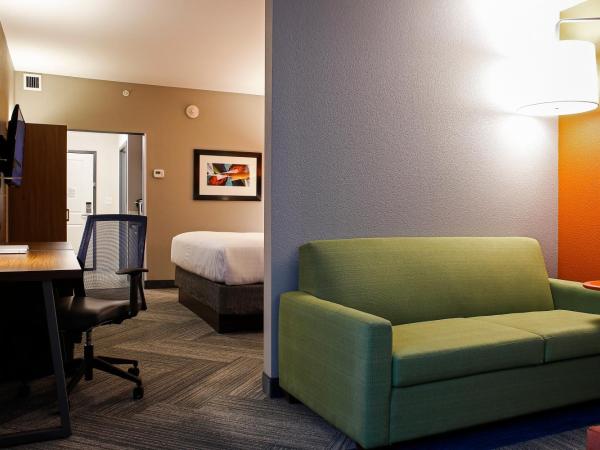 Holiday Inn Express & Suites Downtown Louisville, an IHG Hotel : photo 4 de la chambre suite 1 chambre lit king-size