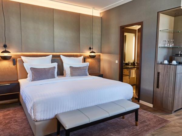 Steigenberger Hotel de Saxe : photo 1 de la chambre suite junior
