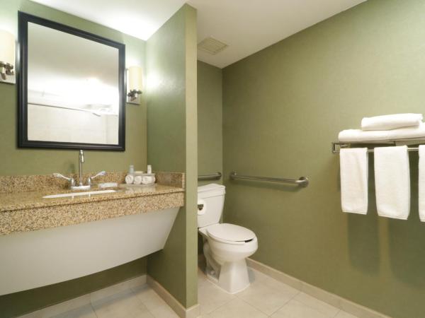 Holiday Inn Express & Suites Monterrey Aeropuerto, an IHG Hotel : photo 4 de la chambre chambre lit king-size standard - accessible aux personnes à mobilité réduite