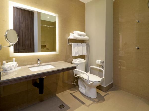 Holiday Inn Express & Suites Monterrey Valle, an IHG Hotel : photo 7 de la chambre chambre lit king-size standard avec douche accessible en fauteuil roulant - adaptée aux personnes à mobilité réduite