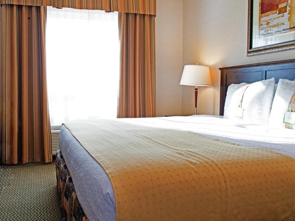 Holiday Inn Hotel & Suites-West Edmonton, an IHG Hotel : photo 3 de la chambre chambre lit king-size standard