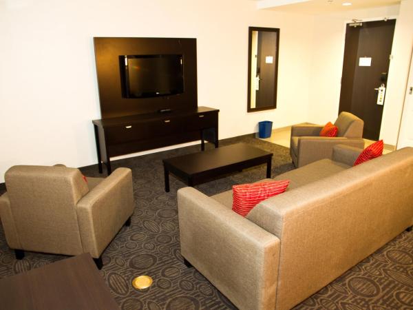 Holiday Inn Hotel & Suites Red Deer, an IHG Hotel : photo 3 de la chambre hot tub fireplace suite - non-smoking