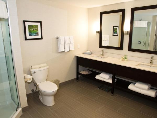 Holiday Inn Hotel & Suites Red Deer, an IHG Hotel : photo 5 de la chambre suite deluxe avec lit king-size