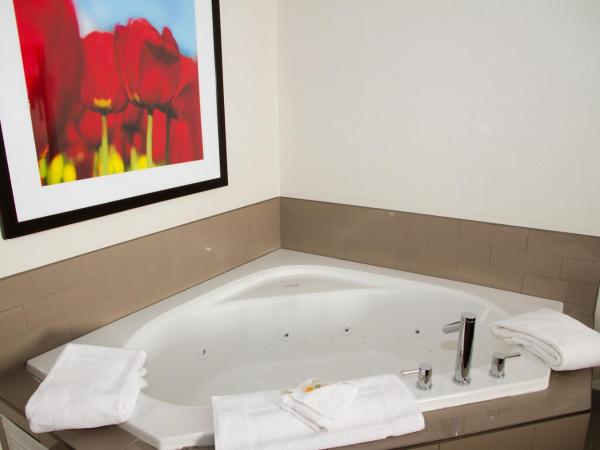 Holiday Inn Hotel & Suites Red Deer, an IHG Hotel : photo 2 de la chambre suite lit king-size avec baignoire spa