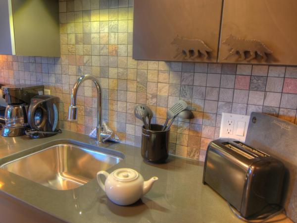 Banff Rocky Mountain Resort : photo 4 de la chambre appartement supérieur 1 chambre