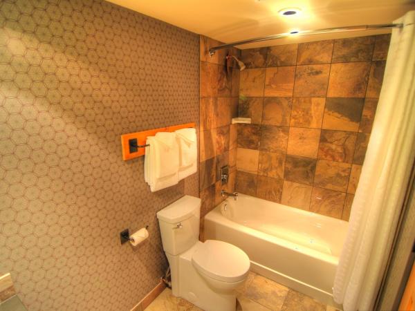 Banff Rocky Mountain Resort : photo 5 de la chambre appartement supérieur 1 chambre