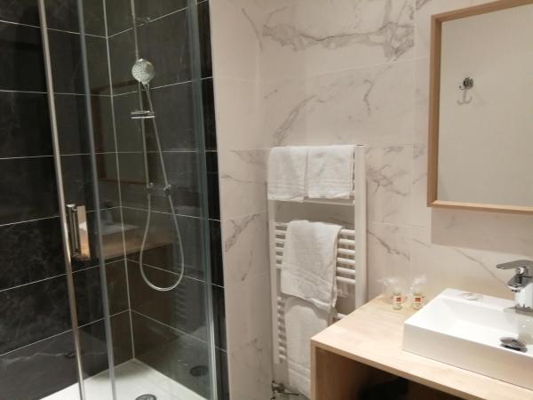 Hotel Du Cygne Tours : photo 5 de la chambre chambre quadruple uniquement accessible par les escaliers