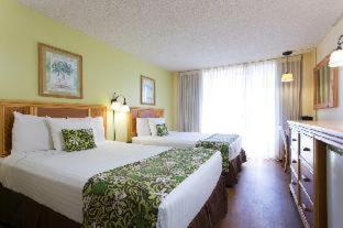 Wayfinder Waikiki : photo 3 de la chambre room #5685609