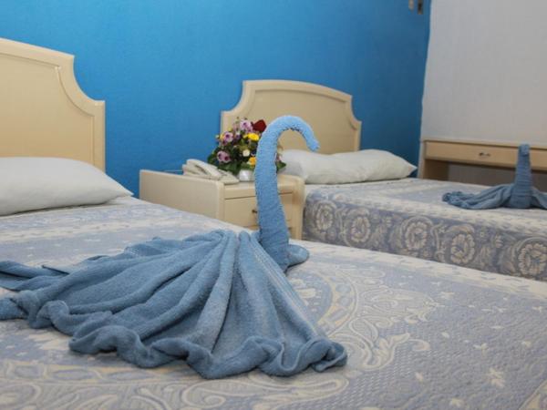 Hotel Isla de Sacrificio : photo 1 de la chambre room #161936006