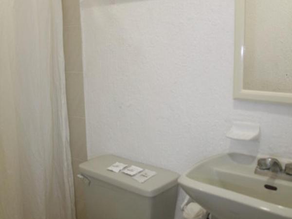 Hotel Isla de Sacrificio : photo 4 de la chambre room #161936006