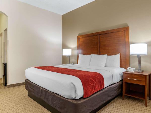 Comfort Suites Airport : photo 2 de la chambre suite lit king-size