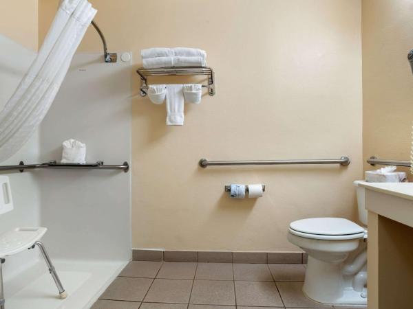 Comfort Suites Airport : photo 7 de la chambre suite avec lit king-size pour personnes à mobilité réduite - non-fumeurs