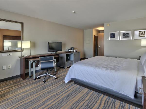 Holiday Inn & Suites Albuquerque-North I-25, an IHG Hotel : photo 5 de la chambre chambre lit king-size standard