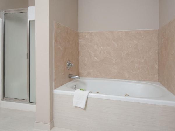 Holiday Inn Express Hotel & Suites San Antonio - Rivercenter Area, an IHG Hotel : photo 1 de la chambre suite 1 chambre lit king-size