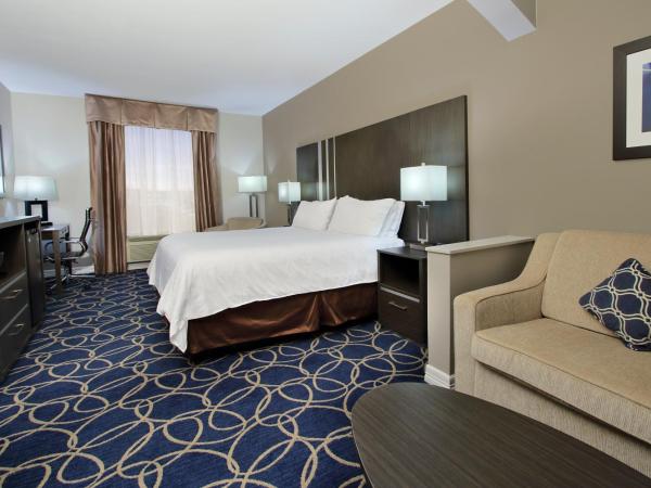 Holiday Inn Express and Suites Houston North - IAH Area, an IHG Hotel : photo 2 de la chambre suite lit king-size