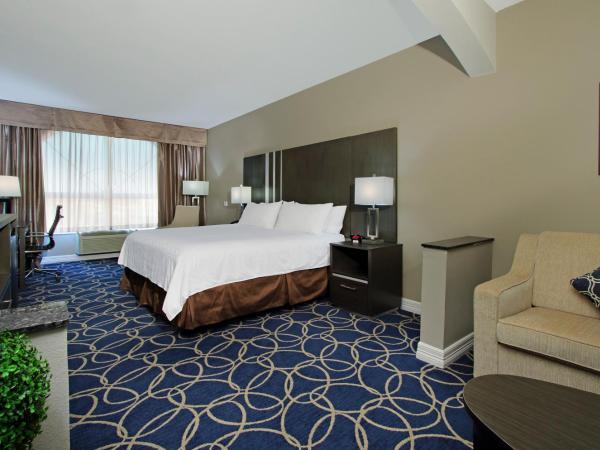 Holiday Inn Express and Suites Houston North - IAH Area, an IHG Hotel : photo 6 de la chambre suite lit king-size – non-fumeurs