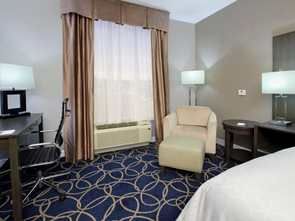 Holiday Inn Express and Suites Houston North - IAH Area, an IHG Hotel : photo 5 de la chambre chambre lit king-size loisirs