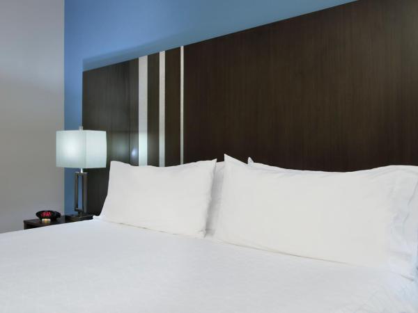 Holiday Inn Express and Suites Houston North - IAH Area, an IHG Hotel : photo 1 de la chambre chambre lit king-size loisirs