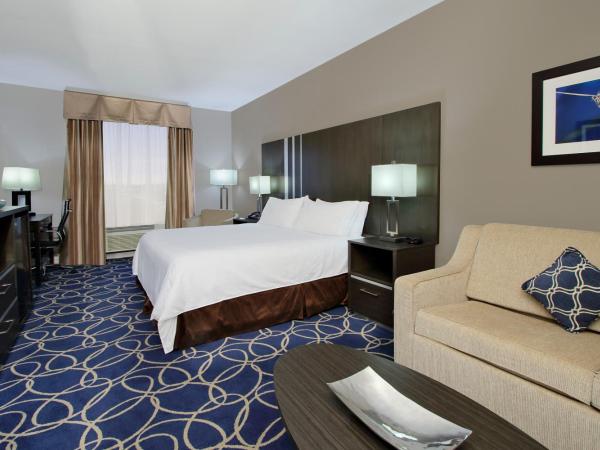 Holiday Inn Express and Suites Houston North - IAH Area, an IHG Hotel : photo 8 de la chambre suite lit king-size