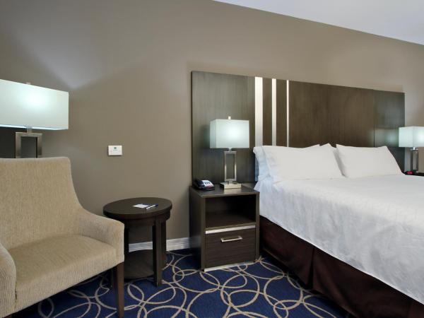Holiday Inn Express and Suites Houston North - IAH Area, an IHG Hotel : photo 6 de la chambre chambre lit king-size loisirs