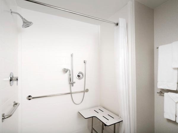 Holiday Inn Express & Suites San Antonio North-Windcrest, an IHG Hotel : photo 4 de la chambre chambre lit king-size avec douche accessible en fauteuil roulant - adaptée aux personnes à mobilité réduite