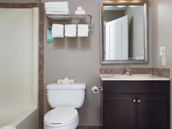 Siesta Suites : photo 10 de la chambre suite lit queen-size de luxe avec canapé-lit