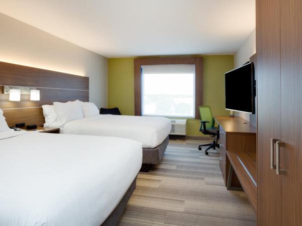 Holiday Inn Express Hotel & Suites Tampa-Fairgrounds-Casino, an IHG Hotel : photo 2 de la chambre chambre standard avec 2 lits queen-size