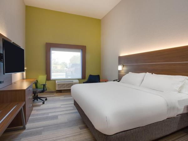 Holiday Inn Express Hotel & Suites Tampa-Fairgrounds-Casino, an IHG Hotel : photo 3 de la chambre chambre lit king-size - accessible aux personnes à mobilité réduite / adapté aux malentendants