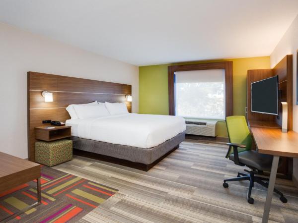 Holiday Inn Express Hotel & Suites Tampa-Fairgrounds-Casino, an IHG Hotel : photo 4 de la chambre chambre lit king-size standard - Étage bas