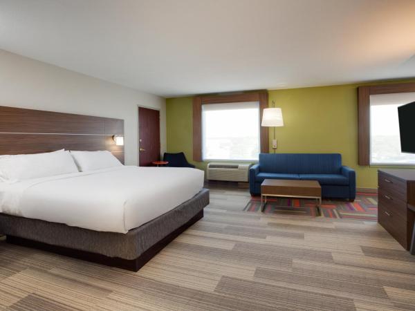 Holiday Inn Express Hotel & Suites Tampa-Fairgrounds-Casino, an IHG Hotel : photo 4 de la chambre suite lit king-size – non-fumeurs