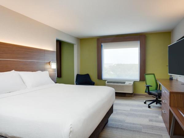 Holiday Inn Express Hotel & Suites Tampa-Fairgrounds-Casino, an IHG Hotel : photo 2 de la chambre suite lit king-size – non-fumeurs