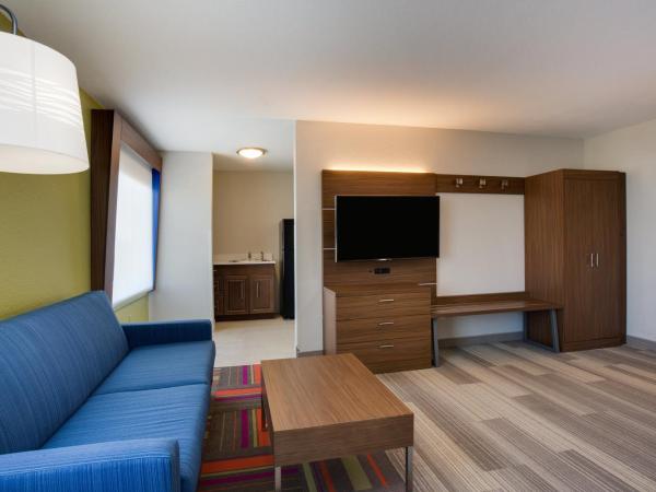 Holiday Inn Express Hotel & Suites Tampa-Fairgrounds-Casino, an IHG Hotel : photo 3 de la chambre chambre lit king-size standard - Étage bas