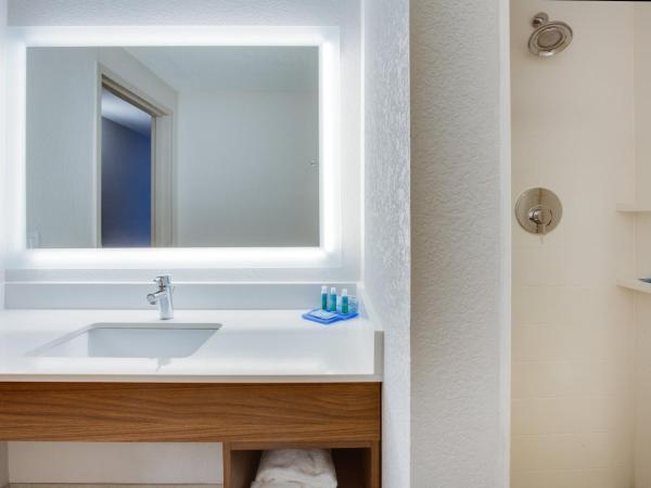 Holiday Inn Express Hotel & Suites Tampa-Fairgrounds-Casino, an IHG Hotel : photo 2 de la chambre chambre lit king-size standard - Étage bas