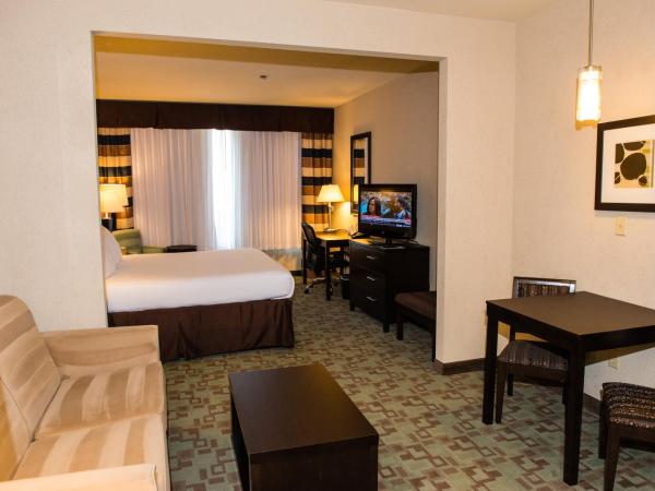 Holiday Inn Express Hotel & Suites Houston NW Beltway 8-West Road, an IHG Hotel : photo 3 de la chambre chambre lit king-size