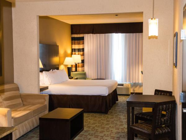 Holiday Inn Express Hotel & Suites Houston NW Beltway 8-West Road, an IHG Hotel : photo 3 de la chambre suite 1 chambre lit king-size avec canapé-lit