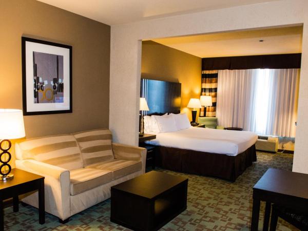 Holiday Inn Express Hotel & Suites Houston NW Beltway 8-West Road, an IHG Hotel : photo 5 de la chambre suite 1 chambre lit king-size avec canapé-lit