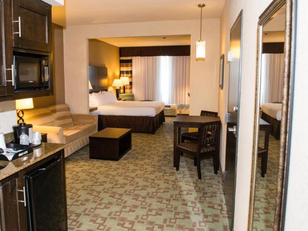 Holiday Inn Express Hotel & Suites Houston NW Beltway 8-West Road, an IHG Hotel : photo 1 de la chambre suite 1 chambre lit king-size avec canapé-lit